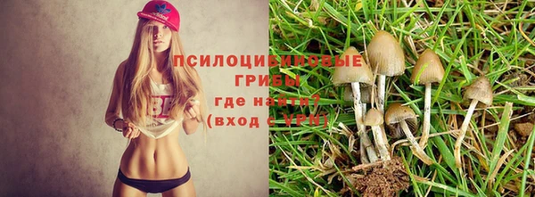 экстази Алексин